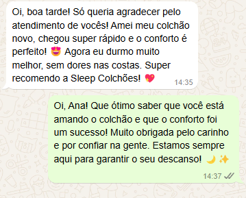 Captura de tela 2024-12-12 061512